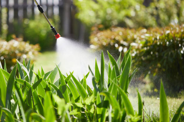 24/7 Emergency Wasp Removal experts in Baxter Village, SC